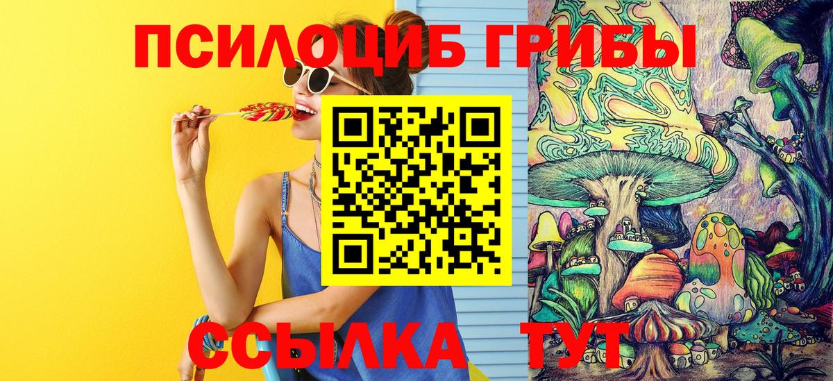 закладки  Вход с VPN  Выборг  Галлюциногенные грибы мицелий 