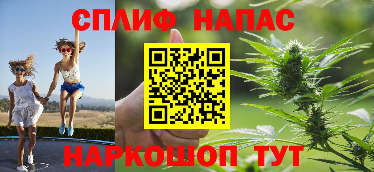 Бошки Шишки Amnesia Выборг